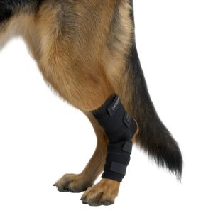 Protector de Metatarso Talla L X 01 UNID